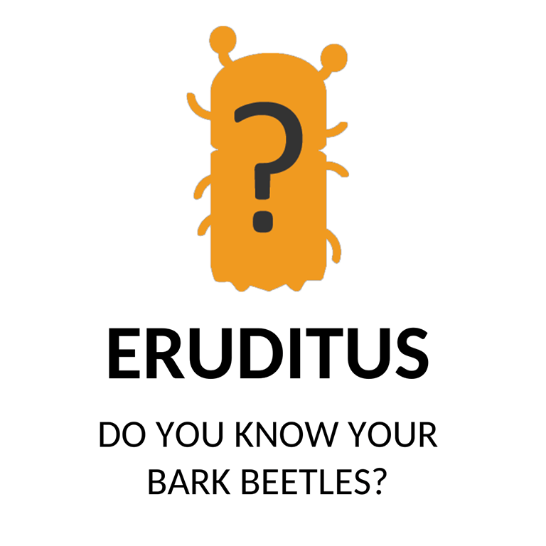 Eruditus768